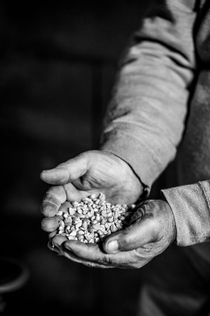 En résidence du 29 avril au 19 mai 2025

Le projet « Saveur et Tradition : Périgord », s’inscrit dans une démarche de recherche ethnographique qui a pour objectif d’explorer, documenter
et valoriser les pratiques culinaires traditionnelles qui lient les communautés à leur territoire.