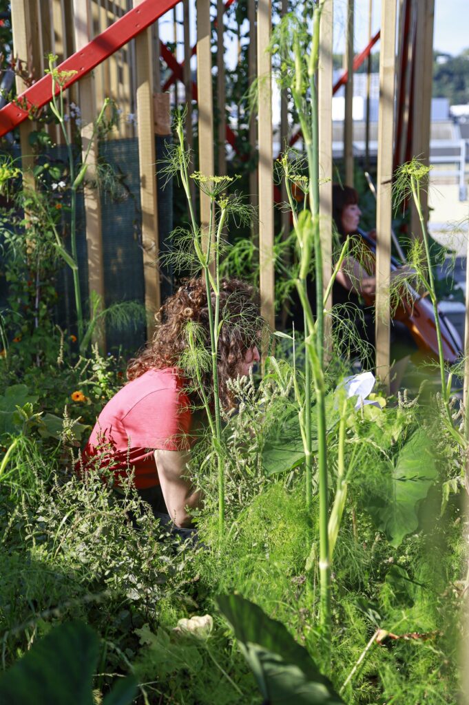 En résidence du 26 mai au 1er juin

Mycélianités est une création transdisciplinaire, qui allie poésie, création sonore, arts visuels et danse sur le thème du mycélium, du réseau, du lien et de la communication inter-espèces.